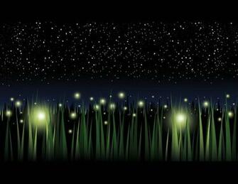 Lightning Bug Wallpaper On