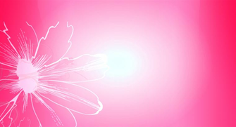 Pink Background Screensaver HD Wallpaper Cool Walldiskpaper