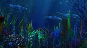 Underwater HD Wallpaper Hebus Org High Definition