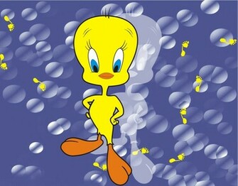 Multiplewallpaper Tweety Cartoon Wallpaper For Desktop