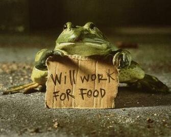 Funny Work Wallpaper HD Background Desktop