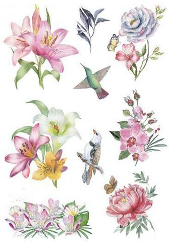 Cheryl Carey Bass On Clippy Other Flower Image