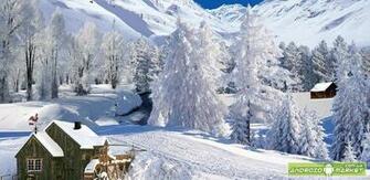 Winter White Live Wallpaper