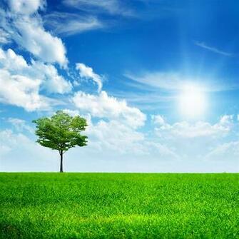 Nature iPad Air Wallpaper HD Retina And