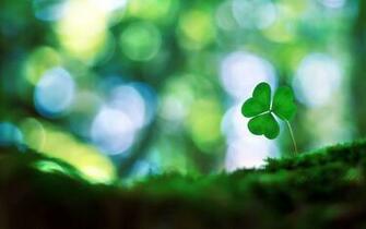 Four Leaf Clover Wallpaper