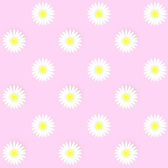 Pink Daisy Background