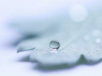Wallpaper Background Rounded And Crystal Clear