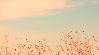 Soft Aesthetic Computer Wallpaper Top