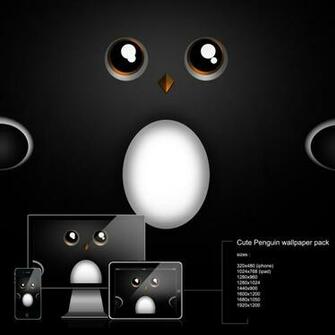 Cute Penguin Wallpaper For iPad Kb