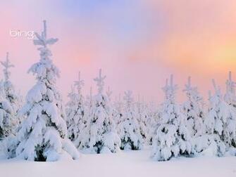 Bing Wallpaper And Screensaver Pack Winter Die Kalte Jahreszeit Von