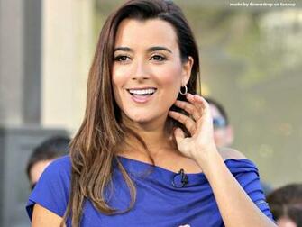 Cote De Pablo Image Wallpaper HD