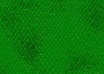 Snakeskin Texture Background Scales Bump HD