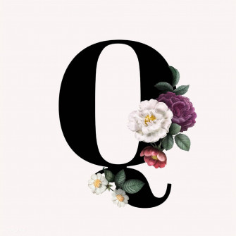 Q Wallpaper S