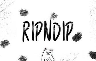 Wallpaper White Cat Squirt Cats Background Firm Mark