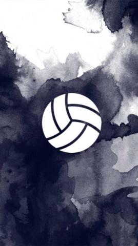 4k Volleyball Wallpaper Ixpap