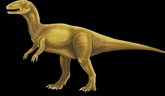 Kids Dinosaurs Sima Dinosaur World