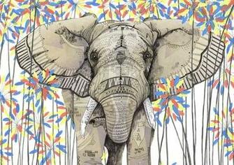 Elephants Wallpaper Image Pictures Becuo