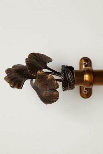 Ginkgo Leaves The Modern Beauty Of A Prehistoric Plant