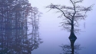 Misty Lake Wallpaper Background