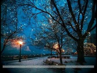Winter Night Scene Wallpaper