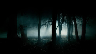 Dark Background Wallpaper