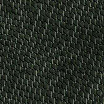 Skin Reptile Lizard Snakes Frog Snake Background