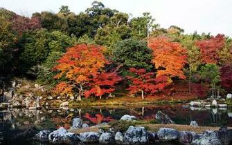 Japanese Autumn Scenery Wallpaper Landscape
