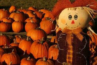 Pumpkin Pur E The Homemade Way Earth Eats Indiana Public Media