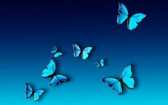 Nature Blue Butterfly HD Wallpaper Mega