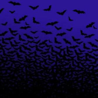 Animated Desktop Wallpaper Quilt And Image