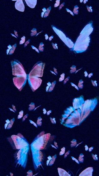 Ios iPhone Butterfly Wallpaper