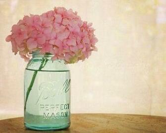 Mason Jar iPhone Background