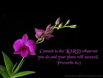 Proverbs Wallpaper