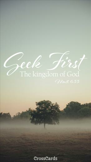 Seek First Phone Wallpaper And Mobile Background