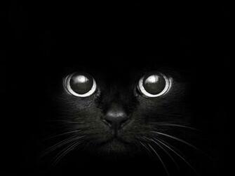 Black Wallpaper HD Background HDblackwallpaper