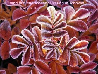 Category Jehovah S Witnesses