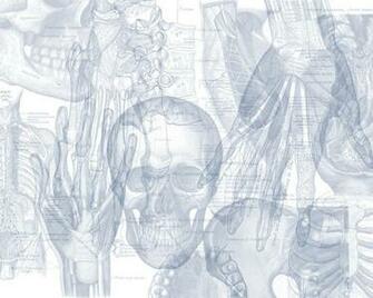 Anatomy Wallpaper