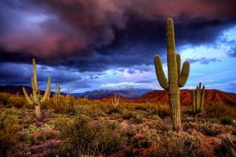 Desert Storm Wallpaper