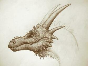 Cartoon Picture Dragon Head Wallpaper