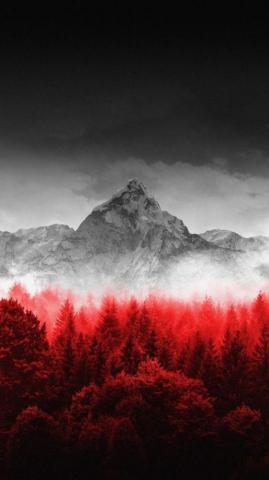 Blue Lake Winter Mountains Pine Trees iPhone Wallpaper