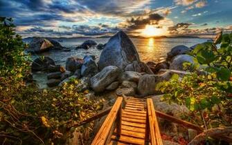 Caribbean Branches Leaves Clouds Beaches HDr Wallpaper Background