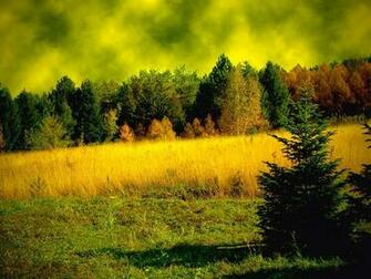 Full Screen Nature Wallpaper