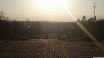 Morning Sun Uppsala Botanical Garden 4k HD Desktop Wallpaper