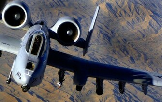 958394 Warthog Jpg