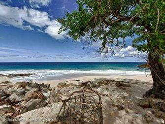 Tropical Beach Wallpaper Welcome To Paradise