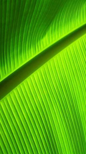 Wallpaper Samsung Galaxy Note Ultra HD X