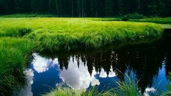 Cool HD Widescreen Wallpaper 1080p