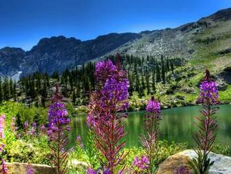 Mountain Spring Wallpaper