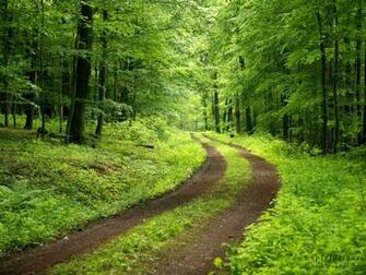 Trail Background Image In Collection