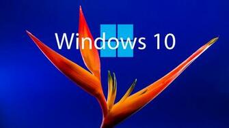 Windows HD Allpaper Wall Paper Mobile Tablet